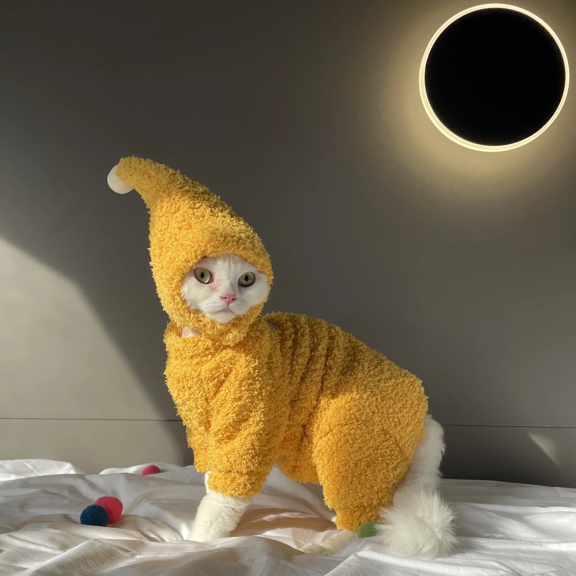 Suéter de Invierno para Gatos con Gorro – Conjunto de 4 Patas Cálido y Suave