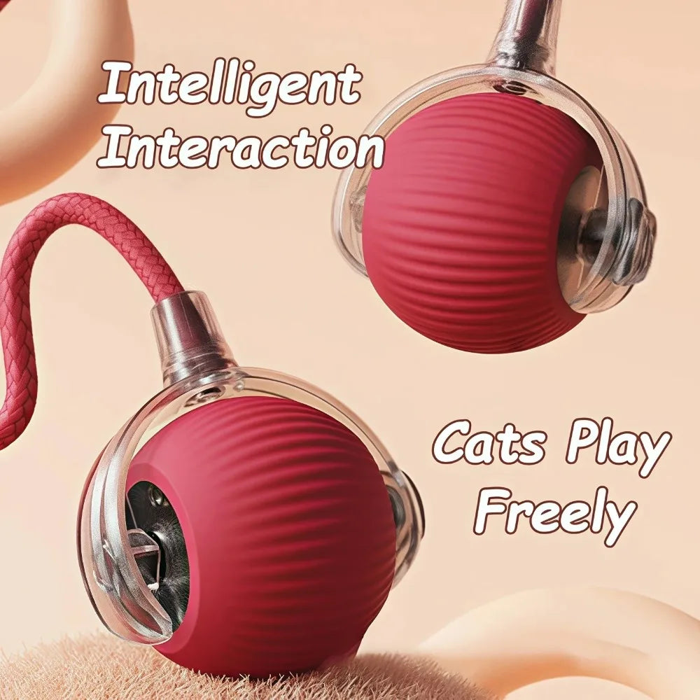 Pelota Rodante Eléctrica Inteligente para Gatos – Recargable con Cola Sintética