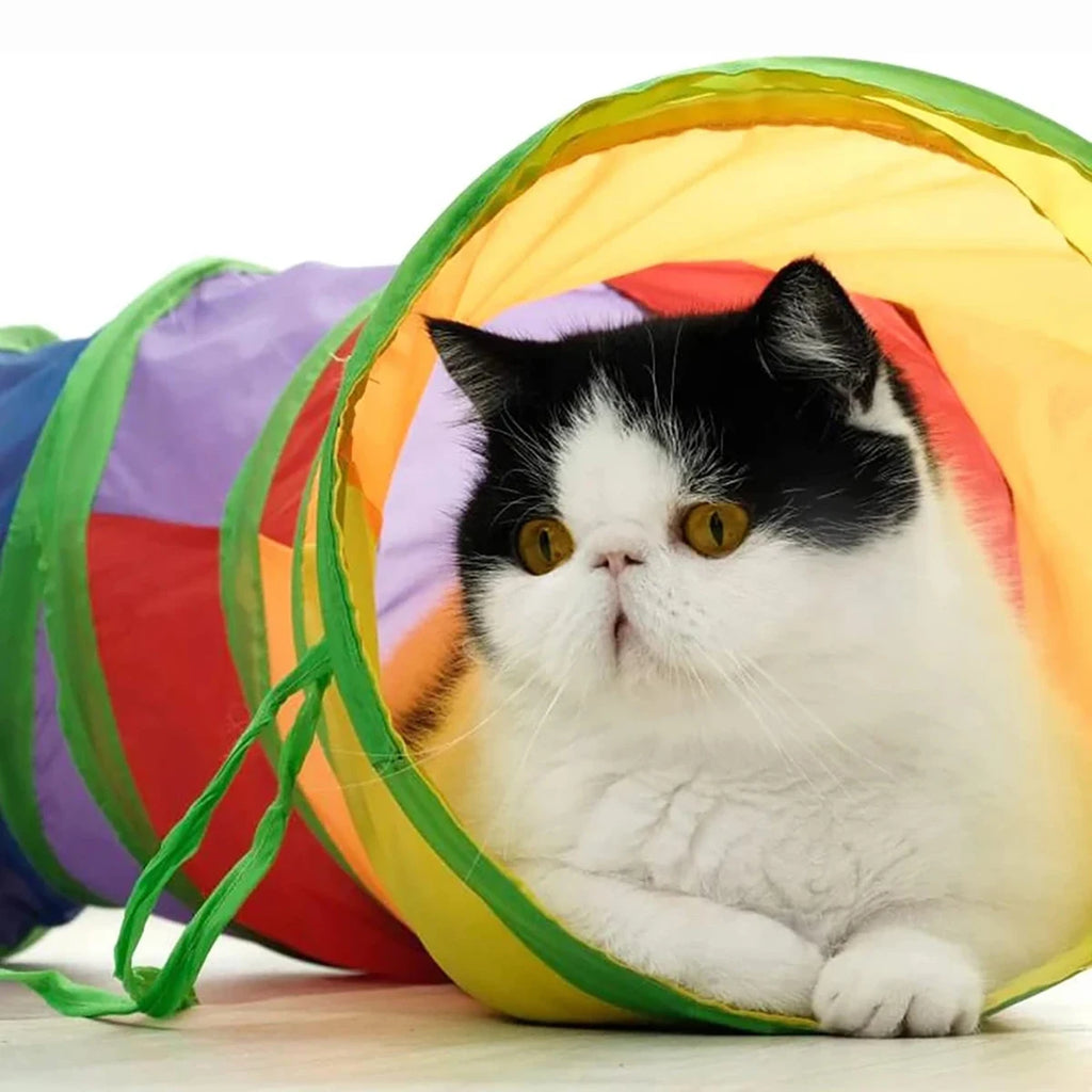 Túnel Plegable para Gatos – Juguete Interactivo Multifunción para Gatitos y Cachorros