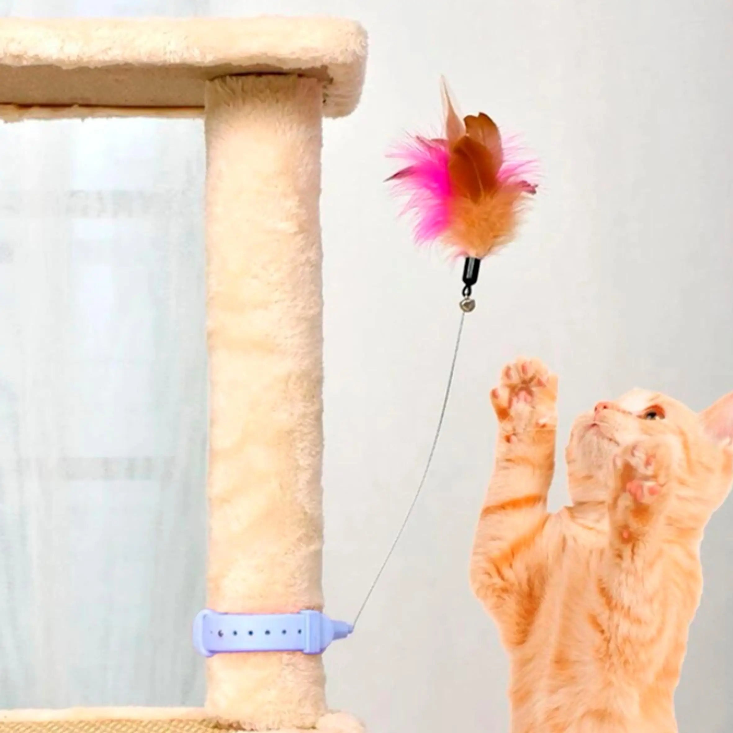 Collar con Juguete de Plumas para Gatos – Entretenimiento Interactivo para Juego Solo