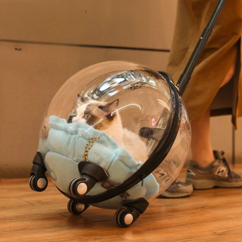 Bolso Transportador Transparente para Gatos – Trolley de Viaje Transpirable