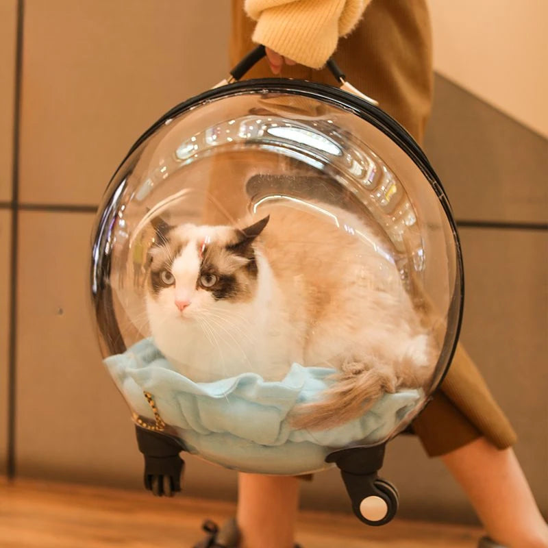 Bolso Transportador Transparente para Gatos – Trolley de Viaje Transpirable