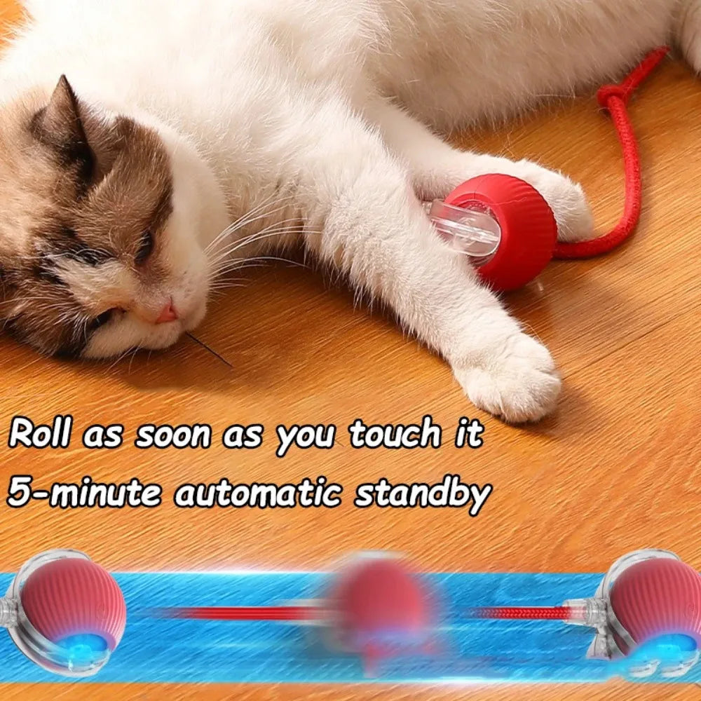 Pelota Rodante Eléctrica Inteligente para Gatos – Recargable con Cola Sintética