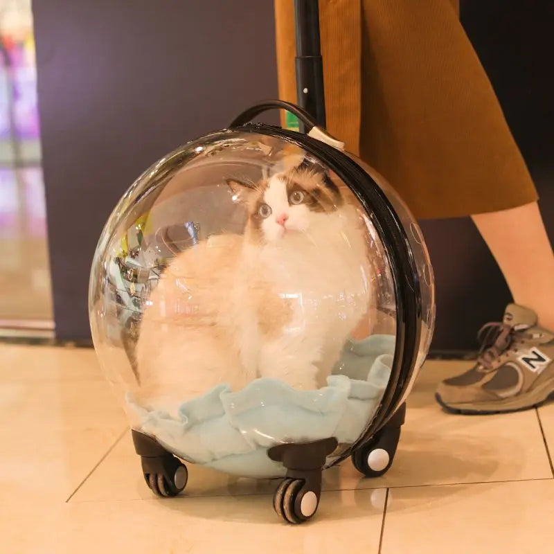 Bolso Transportador Transparente para Gatos – Trolley de Viaje Transpirable