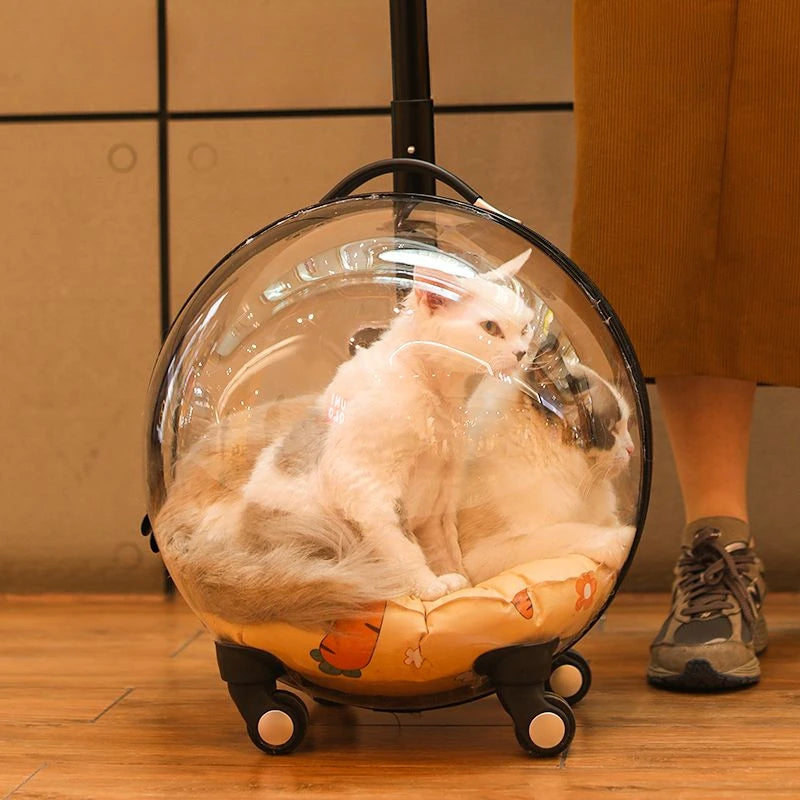 Bolso Transportador Transparente para Gatos – Trolley de Viaje Transpirable