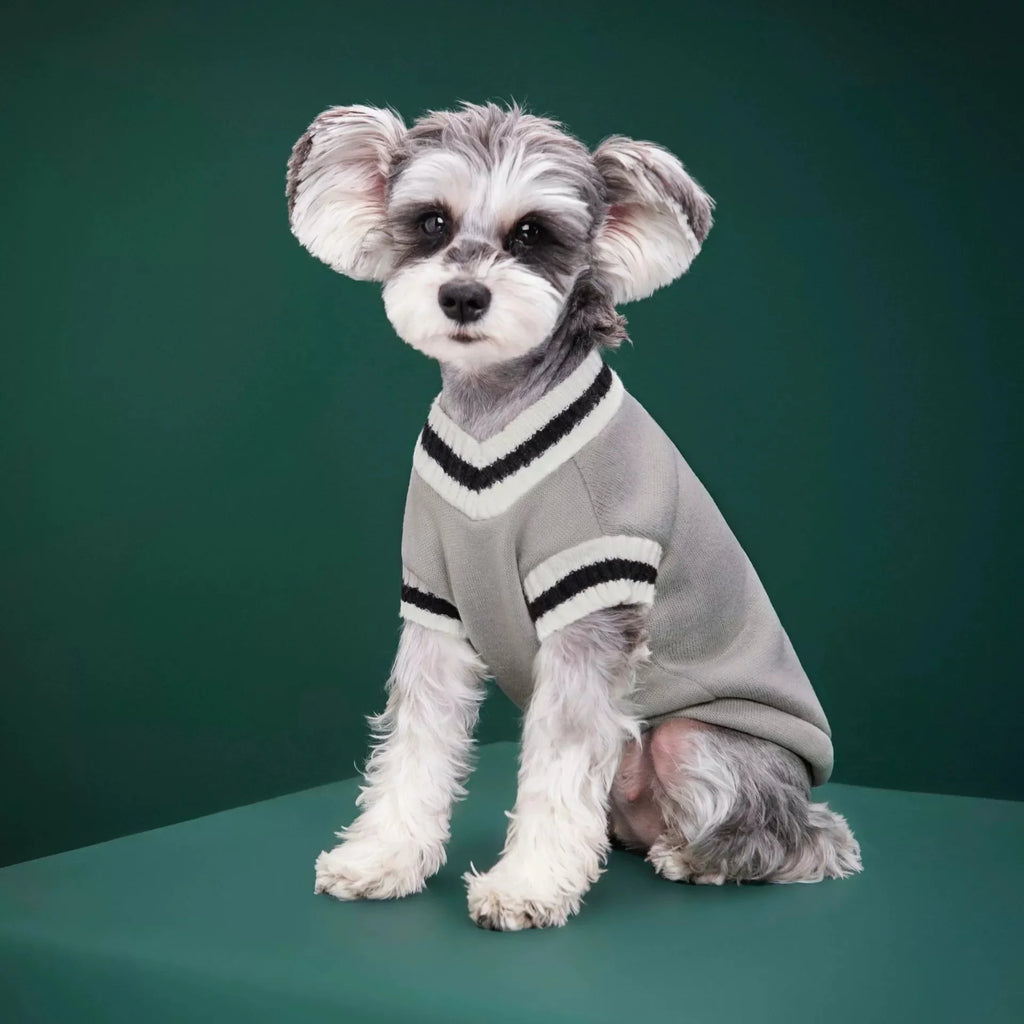 Suéter Cálido para Gatos y Perros – Abrigo de Invierno para Mascotas Pequeñas y Medianas