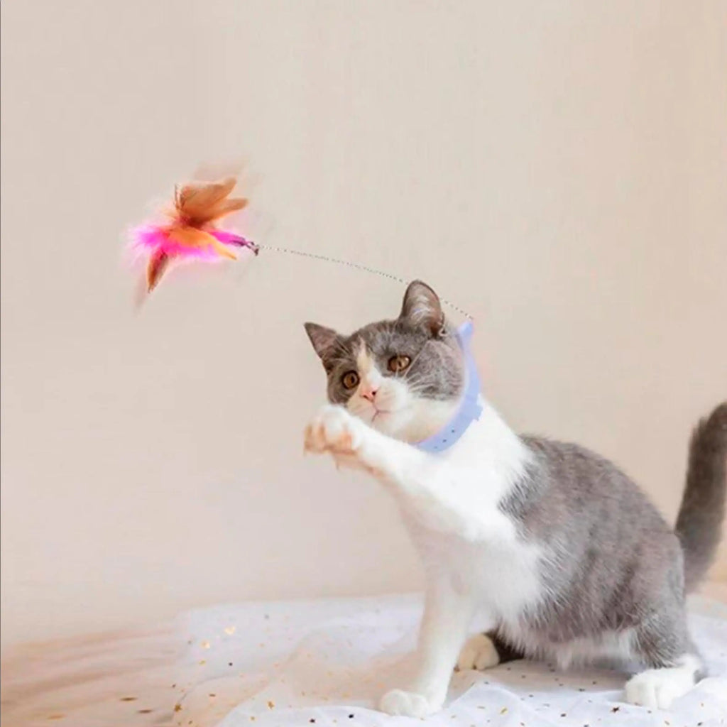 Collar con Juguete de Plumas para Gatos – Entretenimiento Interactivo para Juego Solo