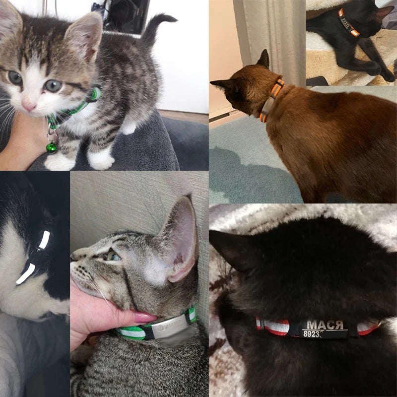 Collar Reflectante para Gatos con Grabado Personalizado Gratuito – Nailon Ajustable