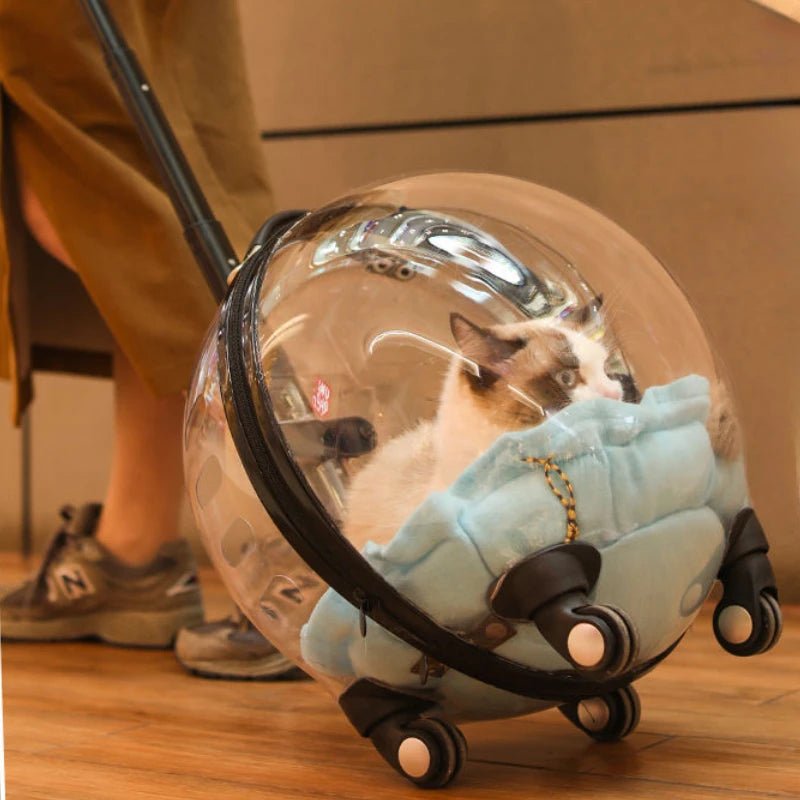 Bolso Transportador Transparente para Gatos – Trolley de Viaje Transpirable