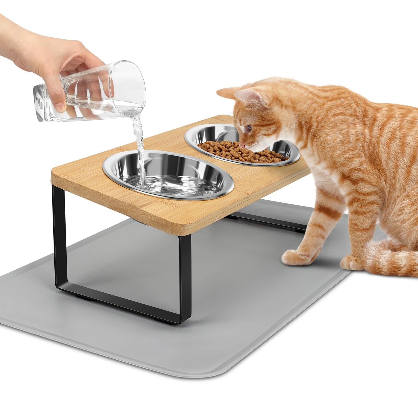 Comedero Elevado para Gatos – Soporte Inclinado 15° con 2 Cuencos de Acero Inoxidable