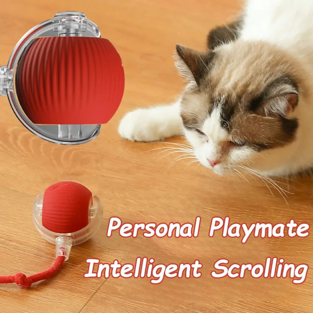 Pelota Rodante Eléctrica Inteligente para Gatos – Recargable con Cola Sintética