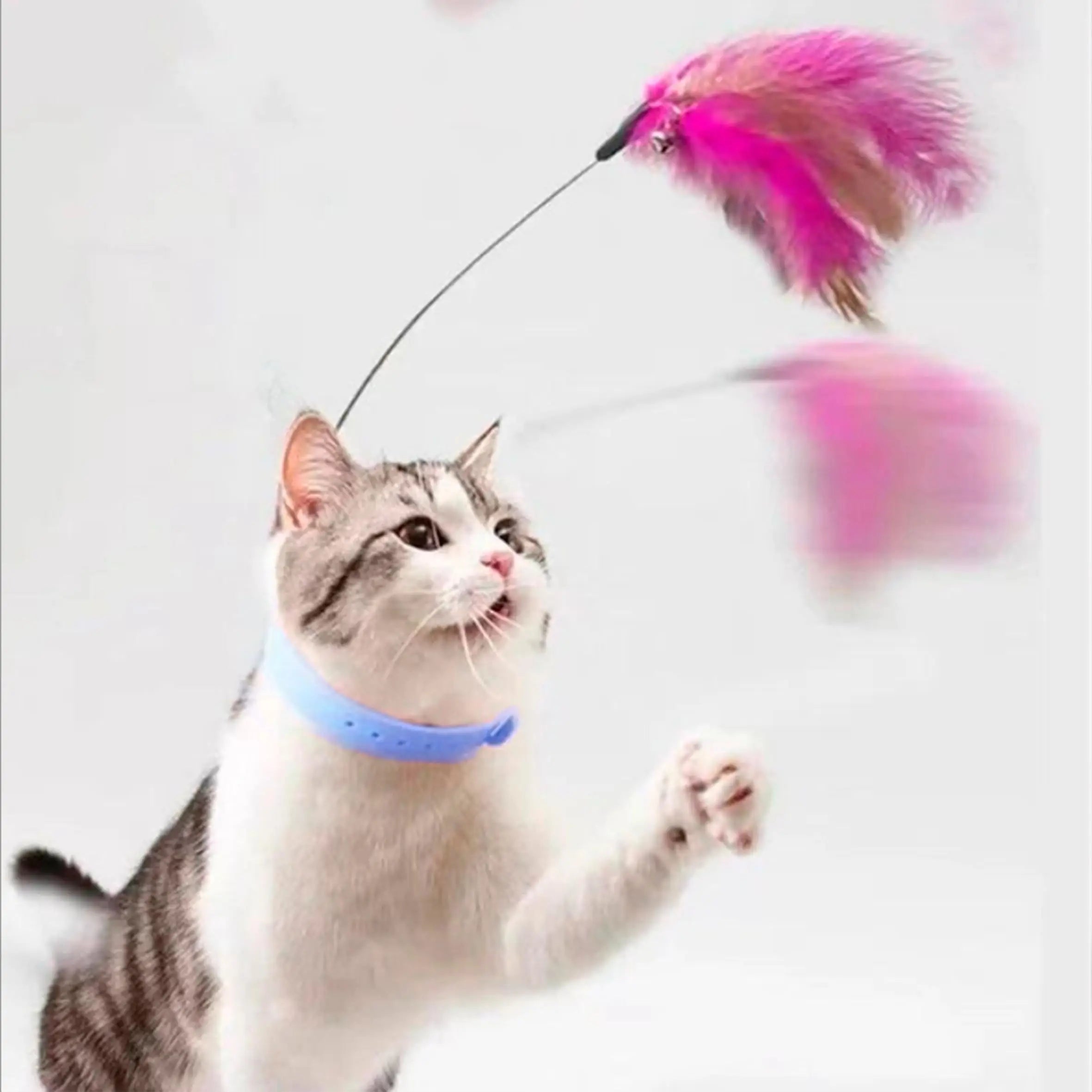 Collar con Juguete de Plumas para Gatos – Entretenimiento Interactivo para Juego Solo