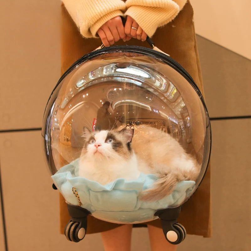 Bolso Transportador Transparente para Gatos – Trolley de Viaje Transpirable